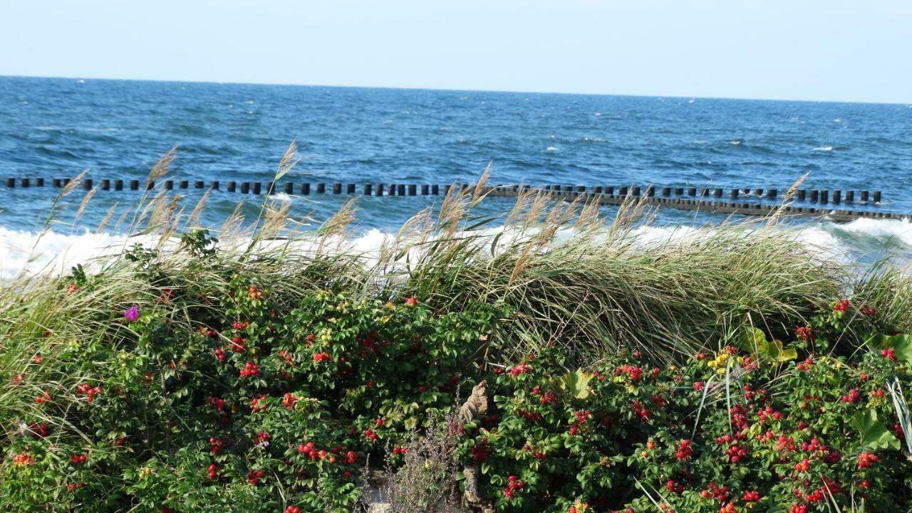 Darlowko By The Sea Exteriör bild